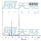 Litsea-山雞椒